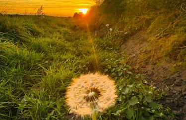 Q80 Appartement - Foto 42