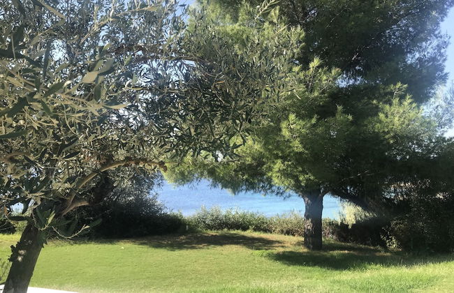 Akti Elia Villas - Foto 72