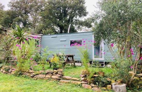 Olive's Cabin - Foto 1