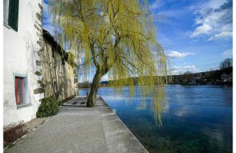 Secret Garden - Foto 45