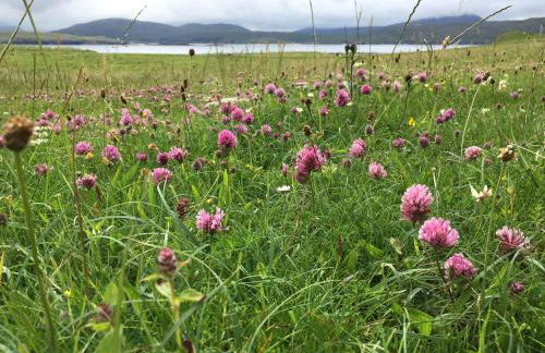 Balnakeil House - Foto 36