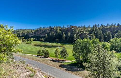 Remodeled Tamarron Lodge unit - Amazing views and 10 miles to Purgatory! - Foto 11