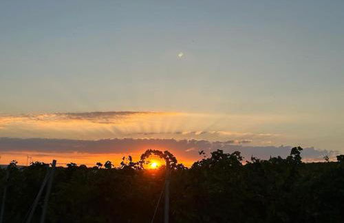 Casita grün - Photo 24