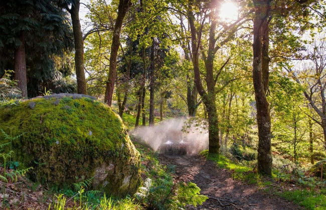 Tour de buggy por Arcos de Valdevez - Foto 5