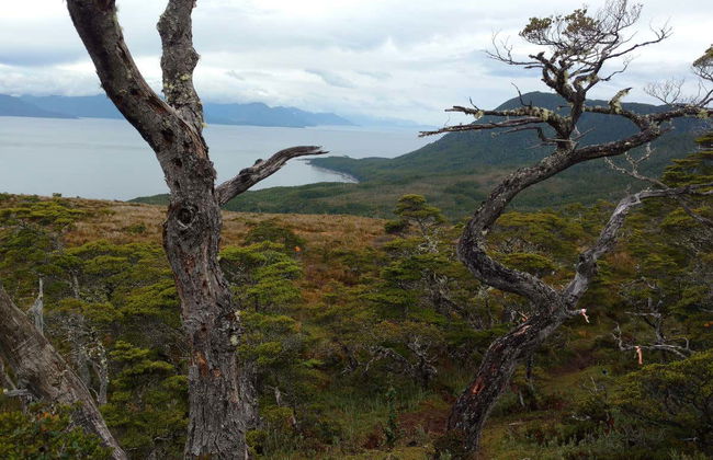 Trekking por el Monte Tarn - Foto 8