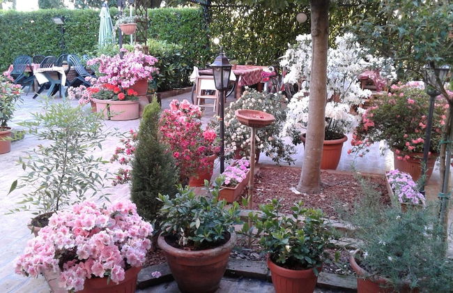 Agriturismo Le Clementine - Foto 42