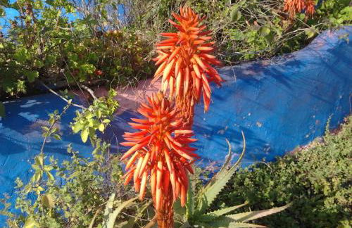 Quinta da Fornalha - Santuario Agroecologico - Foto 51