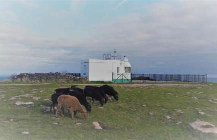 Two Sails Brixham - Spacious modern family seaside home - parking - wood-burner - dog friendly - Photo 45