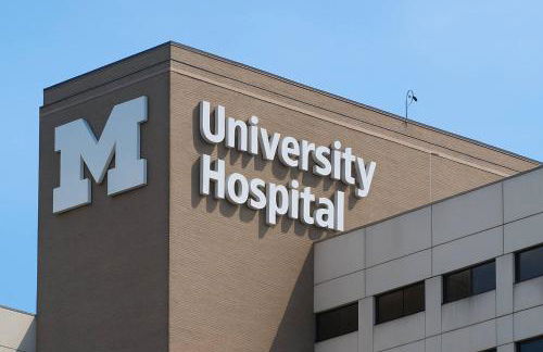 Downtown A2 Gem - Next to Hospitals, Stadium & Restaurants - Foto 39