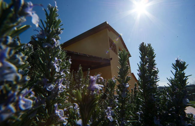 azienda agricola lo zolfino - Foto 63