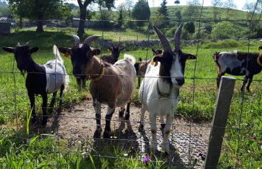 El Mirador de La Hayuela, a 7 min de Comillas - Photo 18