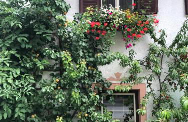 Da Sandra e Fulvio - Foto 8