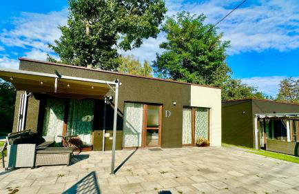 Domki Pasieka Domek D - Foto 24