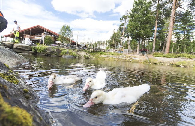 Hytter Dombås - Foto 68