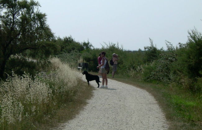 Les Calicots Sanguinet - Photo 44