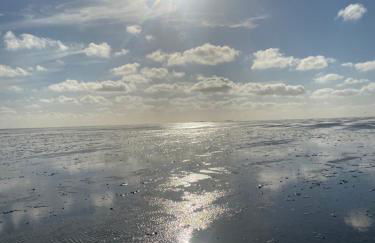 Altes Pastorenhus - Land und Meer - Foto 70