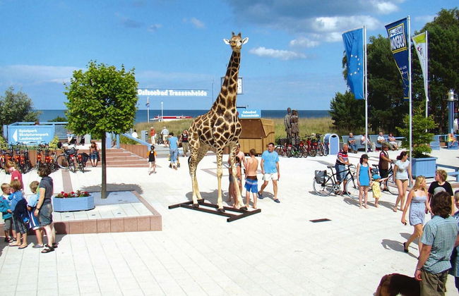 Doppelhaushalfte Strandhaus II in Trassenheide - Foto 31