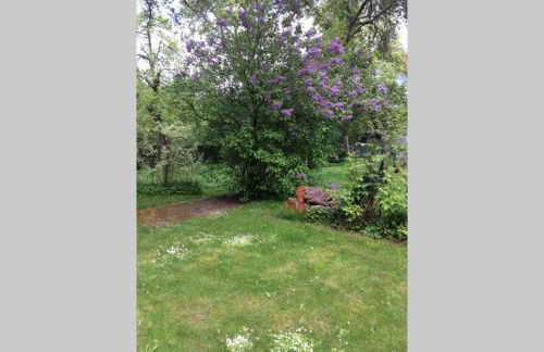 Anna - neue Ferienwohnung mit Blick ins Grüne - Photo 31