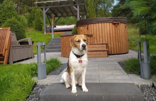 Dom na wzgórzu z widokiem na jezioro z balią i sauną - Foto 42