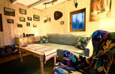 Pod Srebrzystym Świerkiem - Jacuzzi - Foto 15