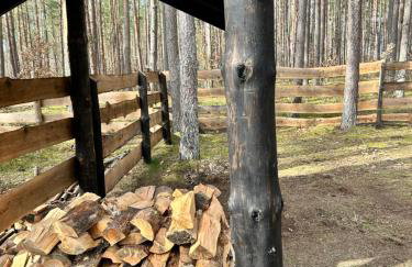 Domek lubiana180 SCANDI wśród drzew JACUZZI SAUNA KOMiNEK i TARAS na dachu jezioro Kaszuby Pieski tylko do 10kg za dodatkową opłatą - Foto 67