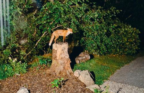 Aldernaig Mill - Photo 34