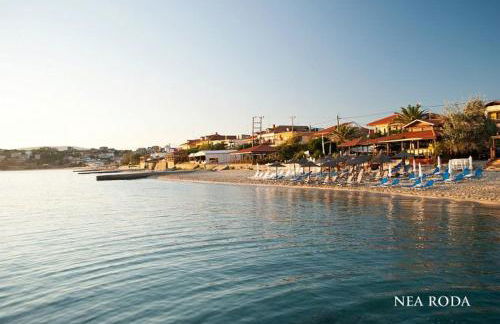 Almira - rooms to let - Foto 31