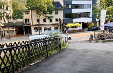 Exklusive 82 qm Loftwohnung mit Tiefgarage und Süd-Balkon zentral - Foto 3