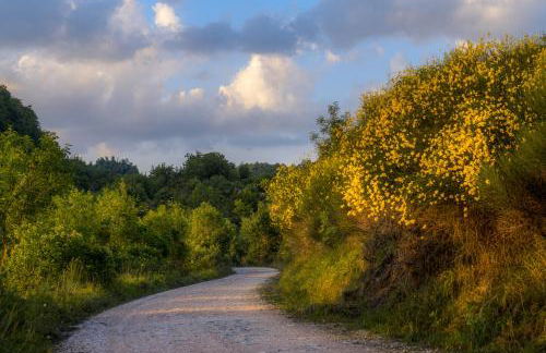 La casa sul ponte - Foto 11