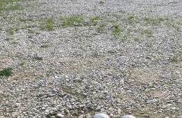 Maison avec piscine sécurisée au pied des Cévennes - Photo 15
