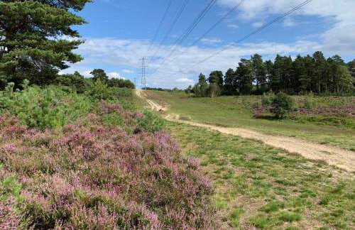 Hampshire lodge - Foto 18