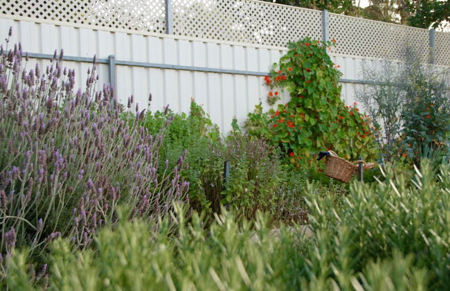 Vintners House - Foto 22