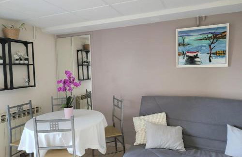Charmant appartement 35 m2 avec terrasse et jardin - Foto 6
