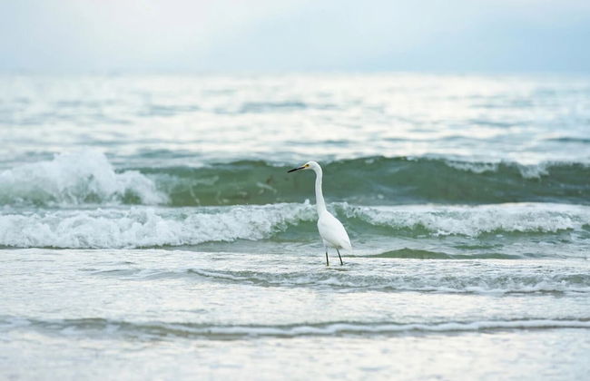 Amalfi Vacation Rental: Stylish 3-BR Retreat Steps from Vanderbilt Beach. Relax by the Private Pool and Enjoy Modern Amenities. Ideal for Families with Easy Access to Mercato and Local Attractions - Foto 31