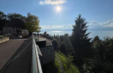 Berges du Léman-cœur de Thonon - Foto 32