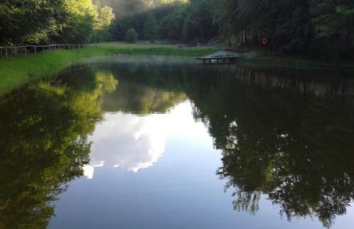 Leśniczówka domek balia sauna jeziorka w lesie na wyłączność - Foto 19