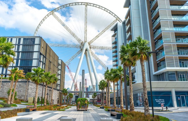 FAM Living - Bluewaters Island - Ain Dubai - Photo 25