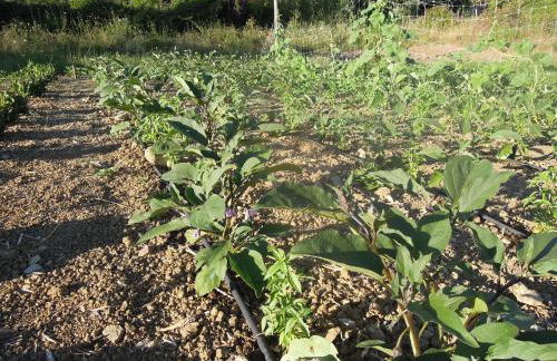 Agriturismo Cuca - Foto 23