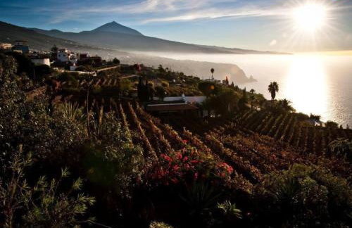 Apartment El Teide by Interhome - Foto 24