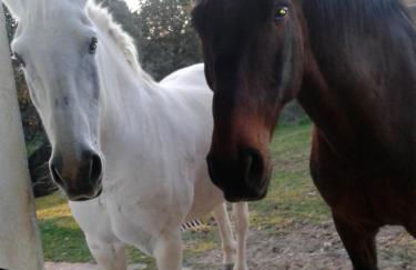 Casa Rural la Vallejera - Foto 89