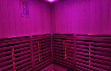 Jungle Room Strasbourg - Évasion Tropicale - Sauna Jacuzzi Balnéo - Foto 18