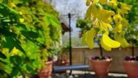 Casa Nonna Ada - Foto 5