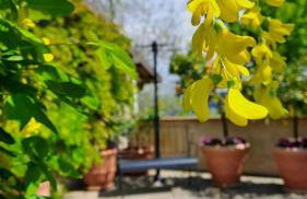 Casa Nonna Ada - Foto 5