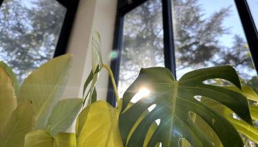 Villa Le Chant du Tilleul - Foto 4