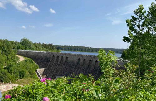 Ferienapartments Försterei Eibenstock - Foto 45