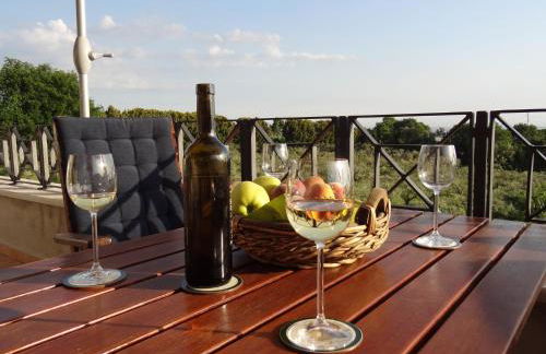 Villa Stauder - Foto 10