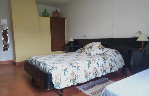 Mas de Muñoz - Foto 59