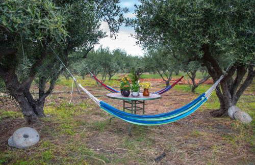 Το σπιτι του μελισσοκομου - Foto 23