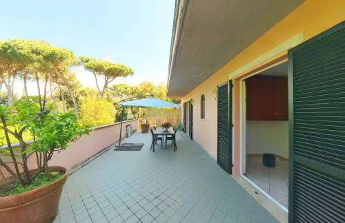Al's forte - Foto 12