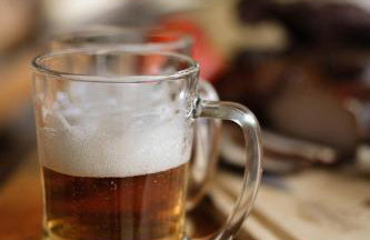 Agroturystyka Gajówka Pilica - Foto 58